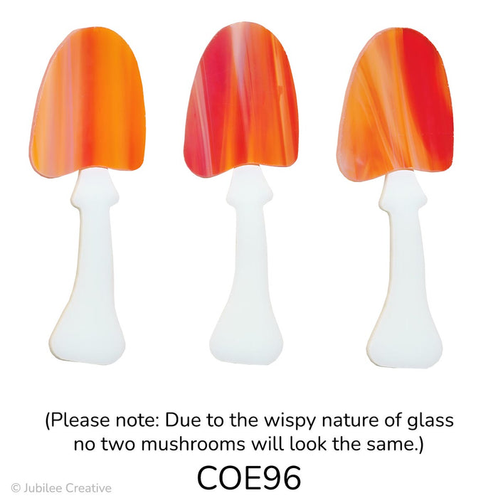 Image of a three precut wild glass mushroom with a tan stem and multicolored mushroom top to show the variation in the mushroom top - COE96