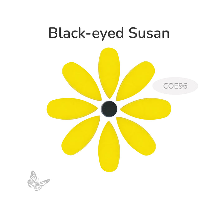 Yellow flower with black center labeled 'Black-eyed Susan' on a white background